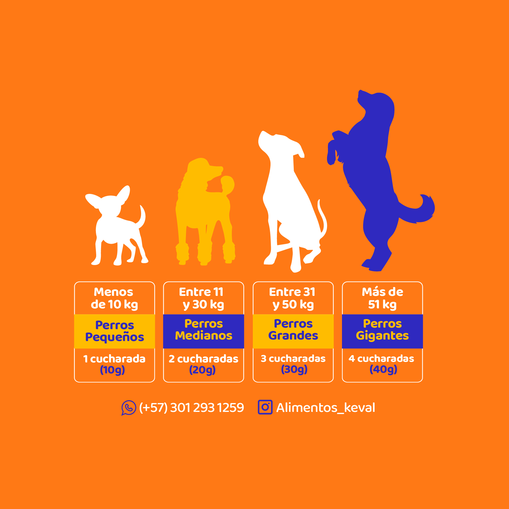 Mix de pollo, zanahoria y frutas